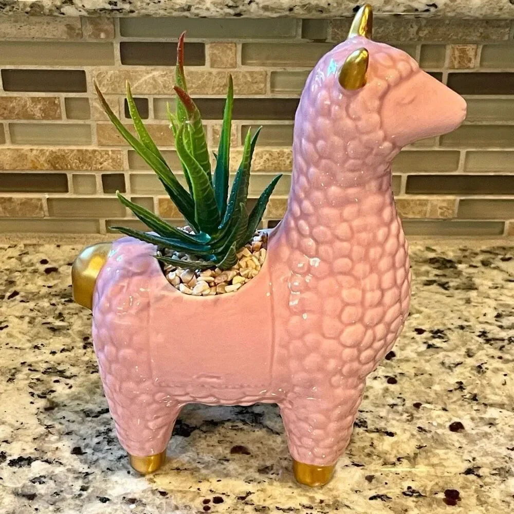 Pink Llama Succulent Ceramic Flower Pot New